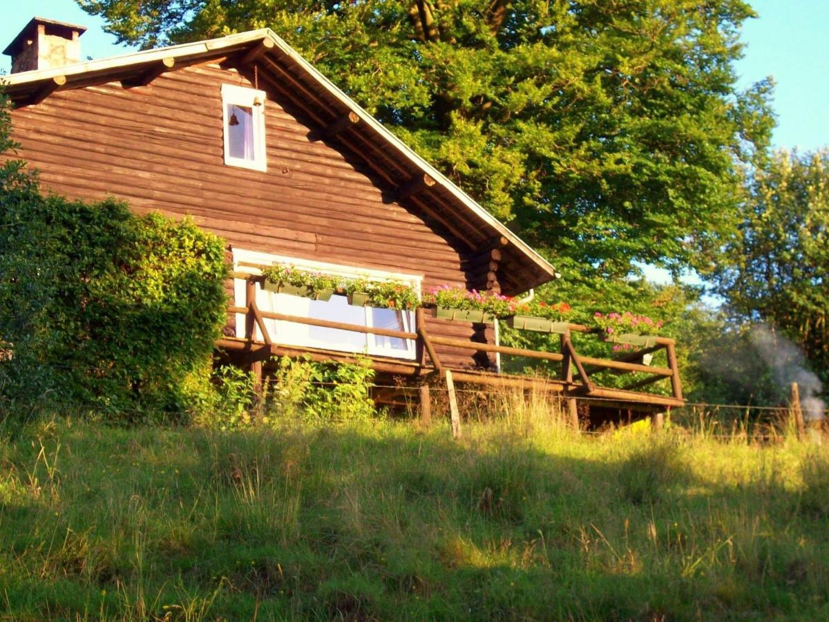 פרנקורשנס Open Wooden Chalet Built Against A Hill מראה חיצוני תמונה